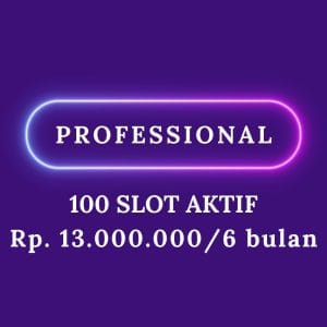 Paket Professional